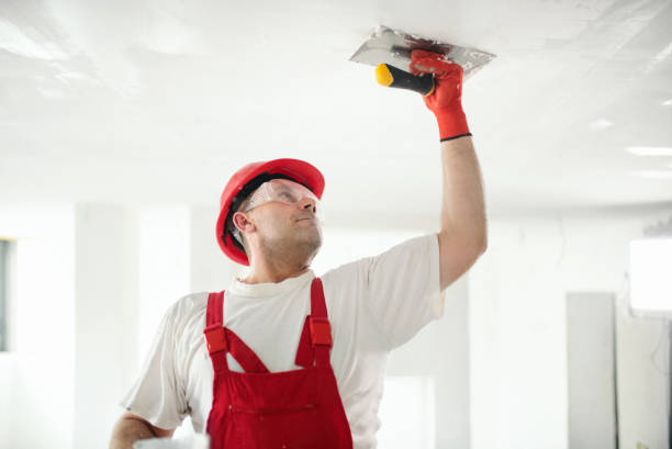 Best Residential Painting  in USA